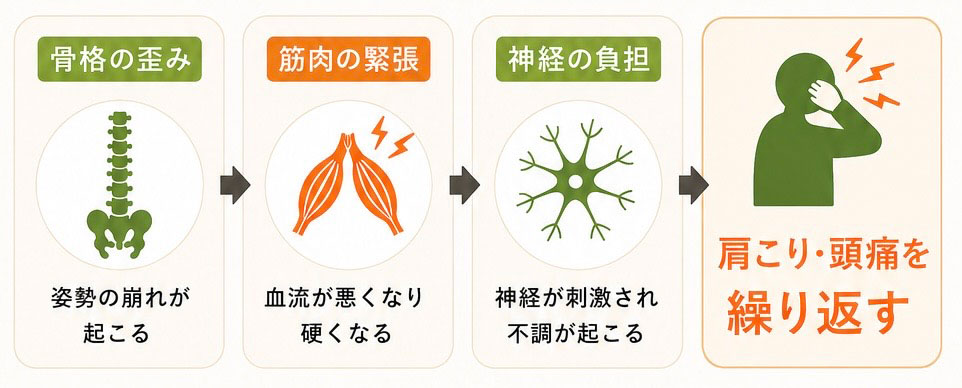 骨格の歪み